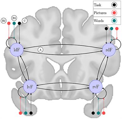 Characterizing Network Search Algorithms Developed for Dynamic Causal Modeling